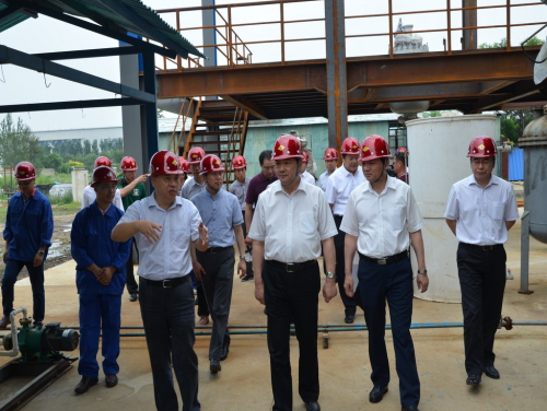 黑龙江省副省长胡亚枫考察德彩网营口生物航油中试基地